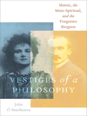 cover image of Vestiges of a Philosophy